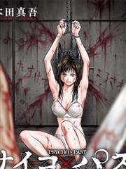 海贼王 日本长篇漫画改编动画